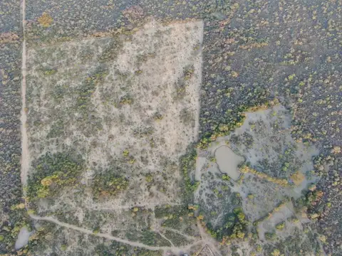 VENTA Campo Ganadero en Morillo Rivadavia