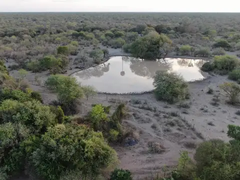 VENTA Campo Ganadero en Morillo Rivadavia
