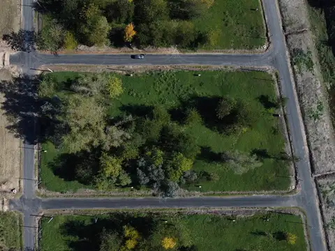 Terreno en Venta de 375,0 m2
