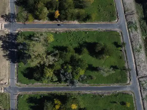 Terreno en Venta de 375,0 m2