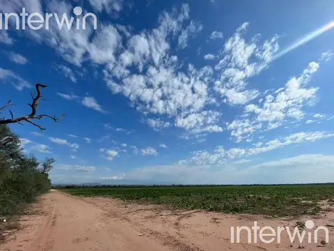 Campo de 838 has en El Acheral - San Pedro - Pcia. de Jujuy
