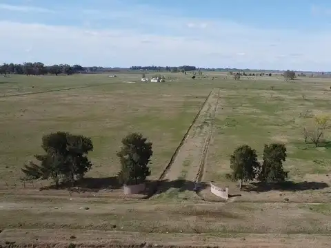 Terreno en Venta de 9850,0 m2