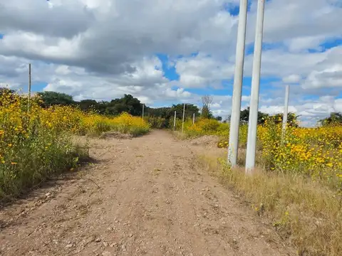 Terreno en Venta 20  mts Fondo