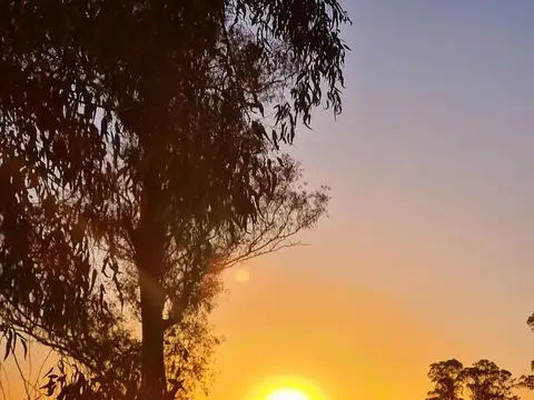 Terreno en Venta de 1000,0 m2