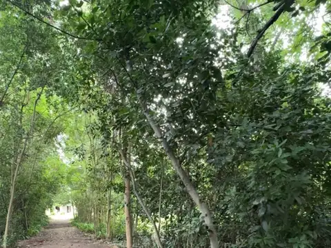 Terreno en Venta 54  mts Frente