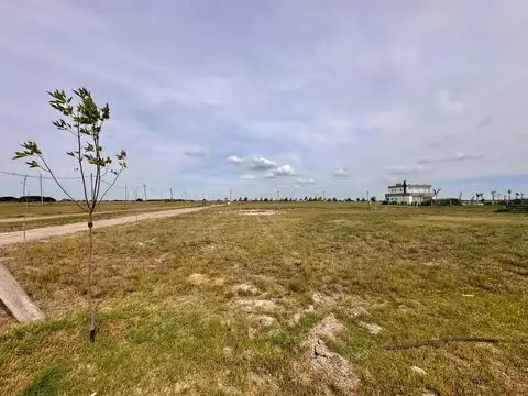 Campos de la Enriqueta