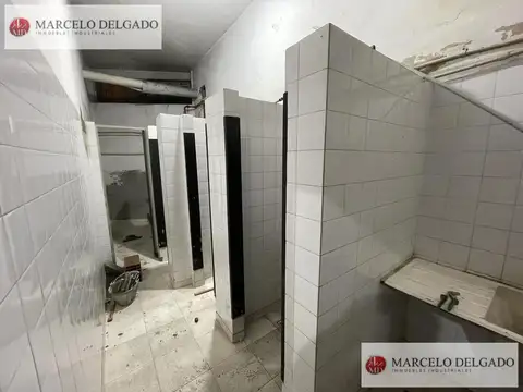Galpon en Alquiler 8  mts Frente