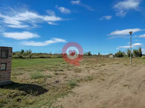 Lago Quillen  al 1500