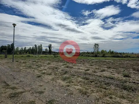 Lago Quillen  al 1500
