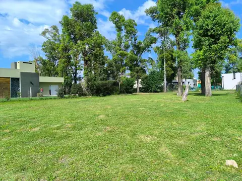 Terreno en Venta 36  mts Fondo