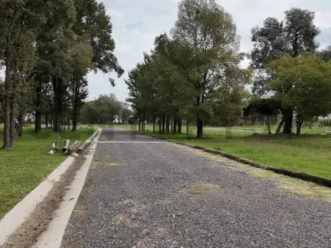 Terreno en Venta de 375,0 m2