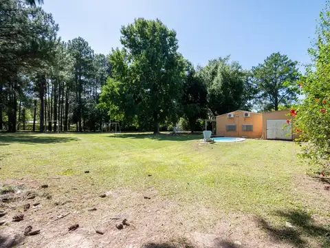 Venta Quinta 2 dorm, pileta en 2142 mt2 forestados