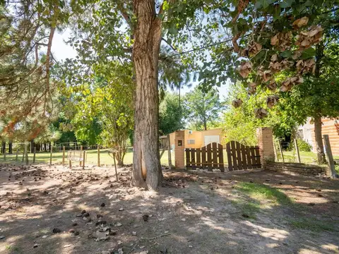 Venta Quinta 2 dorm, pileta en 2142 mt2 forestados