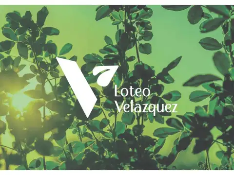 Velazquez y Camino de la costa