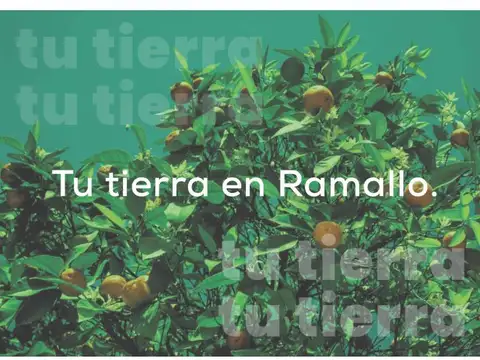 Loteo Velazquez, Ramallo. Buenos Aires.