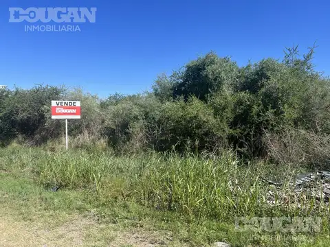 Terreno en Venta 50  mts Fondo