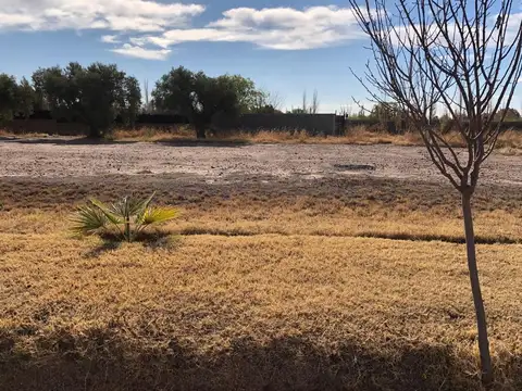 Terreno en Venta de 500,0 m2