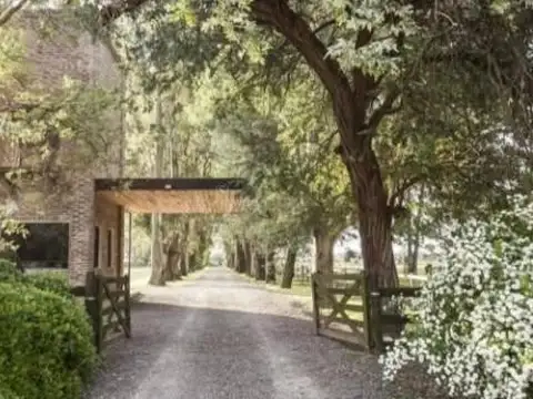 LOTE FINCAS EXCLUSIVAS EL CAMPO venta .. 100