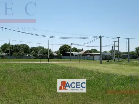 Porteña y Centenario