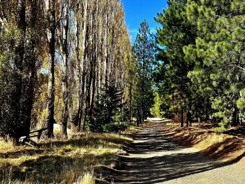 Terreno en Venta en San Carlos de Bariloche, Bariloche