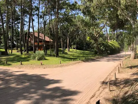 divisadero y lapacho