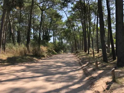 Terreno en Venta de 3000,0 m2