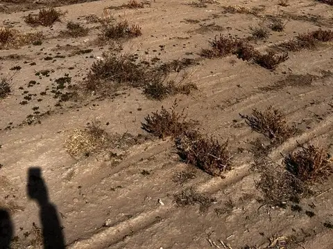 Terreno en Venta en Tupungato, USD 28.500