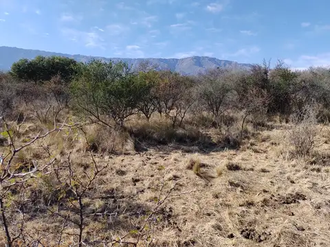 Terreno en Venta en La Poblacion, USD 49.500