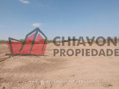 Campo en Venta Industrialización