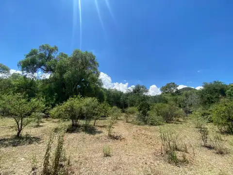 Terreno en Venta de 4699,0 m2