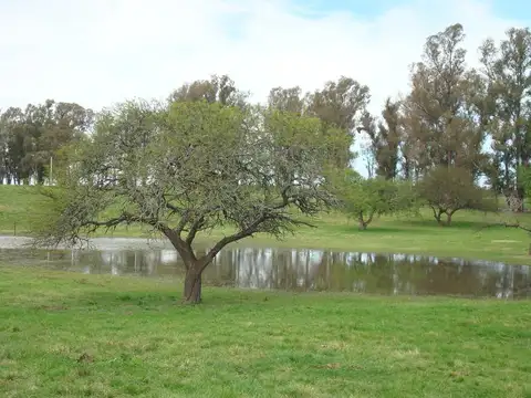 CHACRAS DEL RINCON VENTA DE LOTE EN OLIVEROS