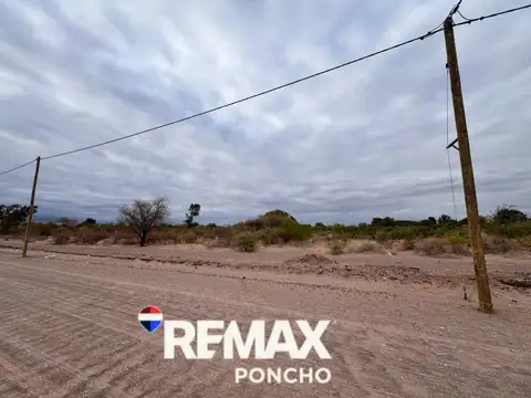 SE VENDE TERRENO c/VIÑEDOS EN FIAMBALA-TINOGASTA