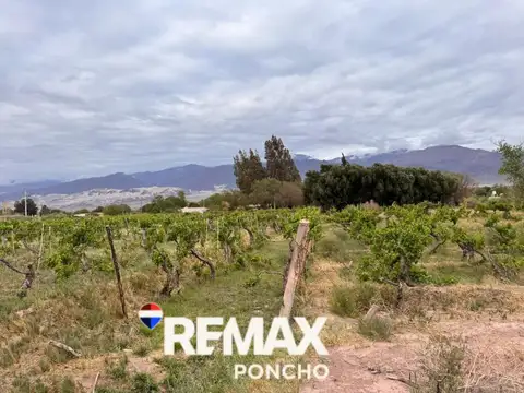 Terreno en Venta de 8129,0 m2