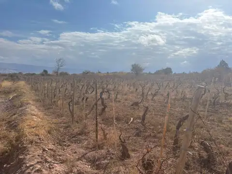 Terreno en Venta en Fiambala, USD 87.345