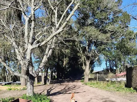Campo en Venta de 9  ha