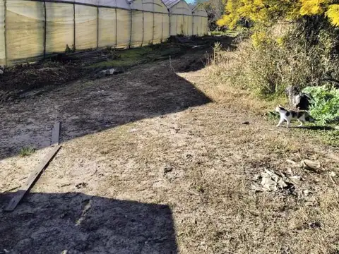 ¡VENDE! Campo en calle 159 y 602 – Poblet, La Plata