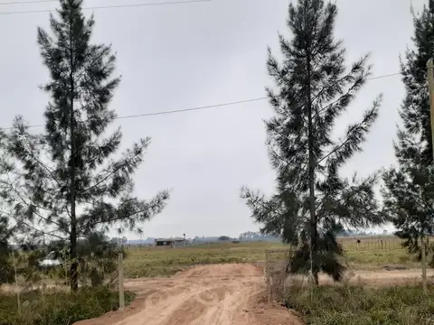 MEDIA HECTAREA EN CHACRAS EN VENTA, VILLARS