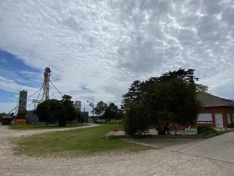 Planta Agrícola