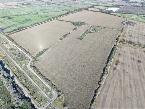 VENTA 177 Has AGRICOLAS  S/ Mejoras - Las Palmas - Zárate, Bs As