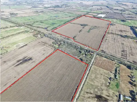 Campo en Venta Agrícola