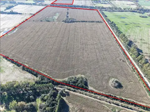 Campo en Venta de 177  ha