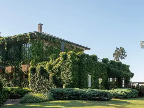 Terreno en Venta 50  mts Fondo