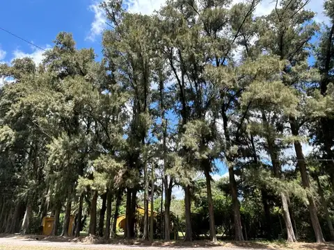 Terreno en Venta de 1400,0 m2