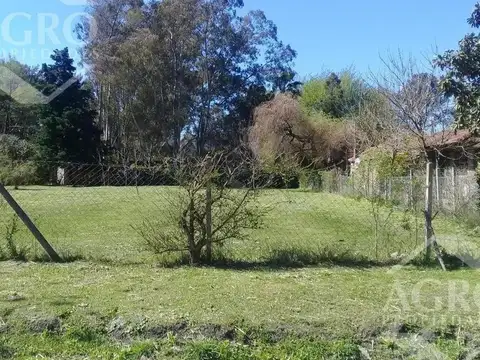 Terreno en Venta 52  mts Fondo