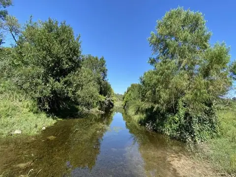 Campo en venta en Córdoba