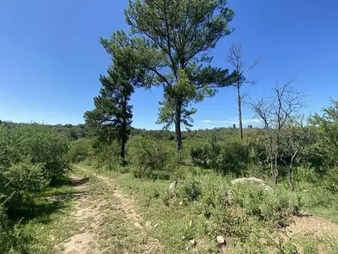 Pico Huasi camino al Cerro Pelado