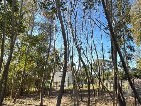 Terreno en Venta de 383,9 m2