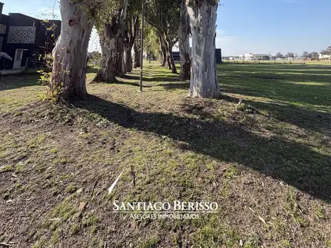 BARRIO MATISSE  - LOS CARDALES