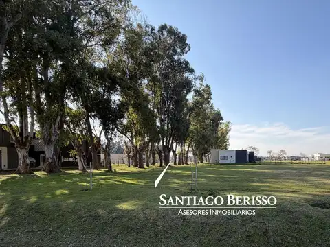 BARRIO MATISSE  - LOS CARDALES