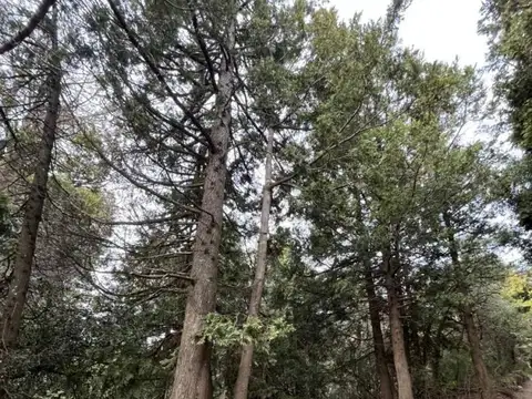 Lote en venta Bariloche